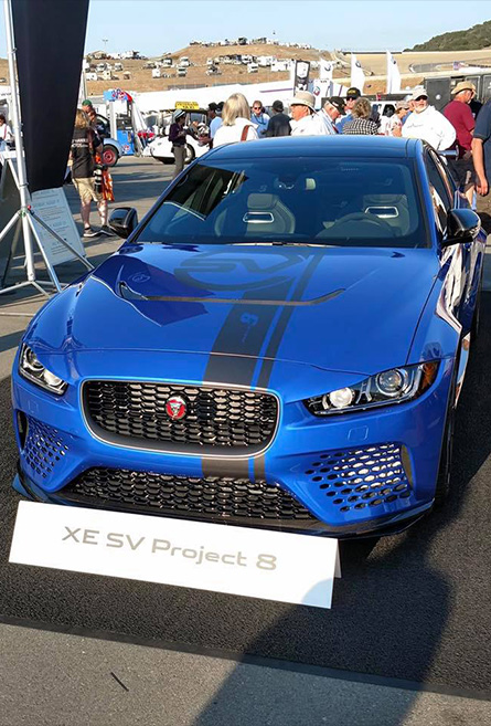 XE SV Project 8